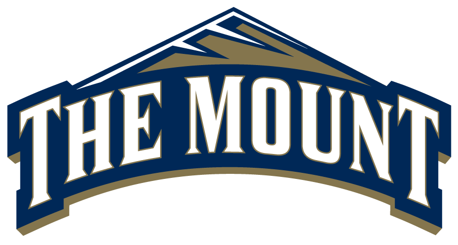 Mount St. Marys Mountaineers 2016-Pres Primary Logo diy iron on heat transfer